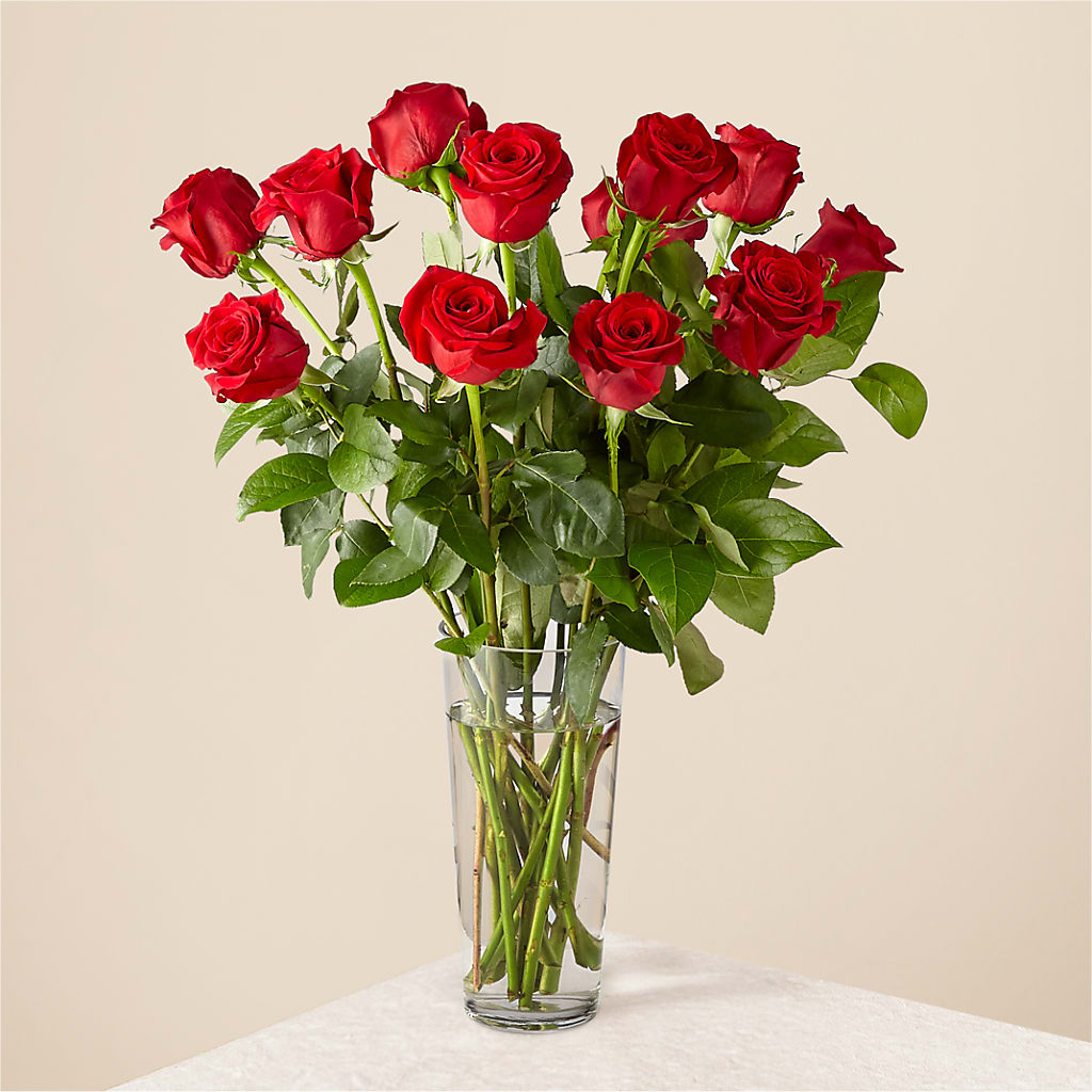 Long Stem Red Rose Bouquet – The Warrenton Florist, Warrenton VA