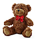 Adorable Plush Bear – The Warrenton Florist, Warrenton VA