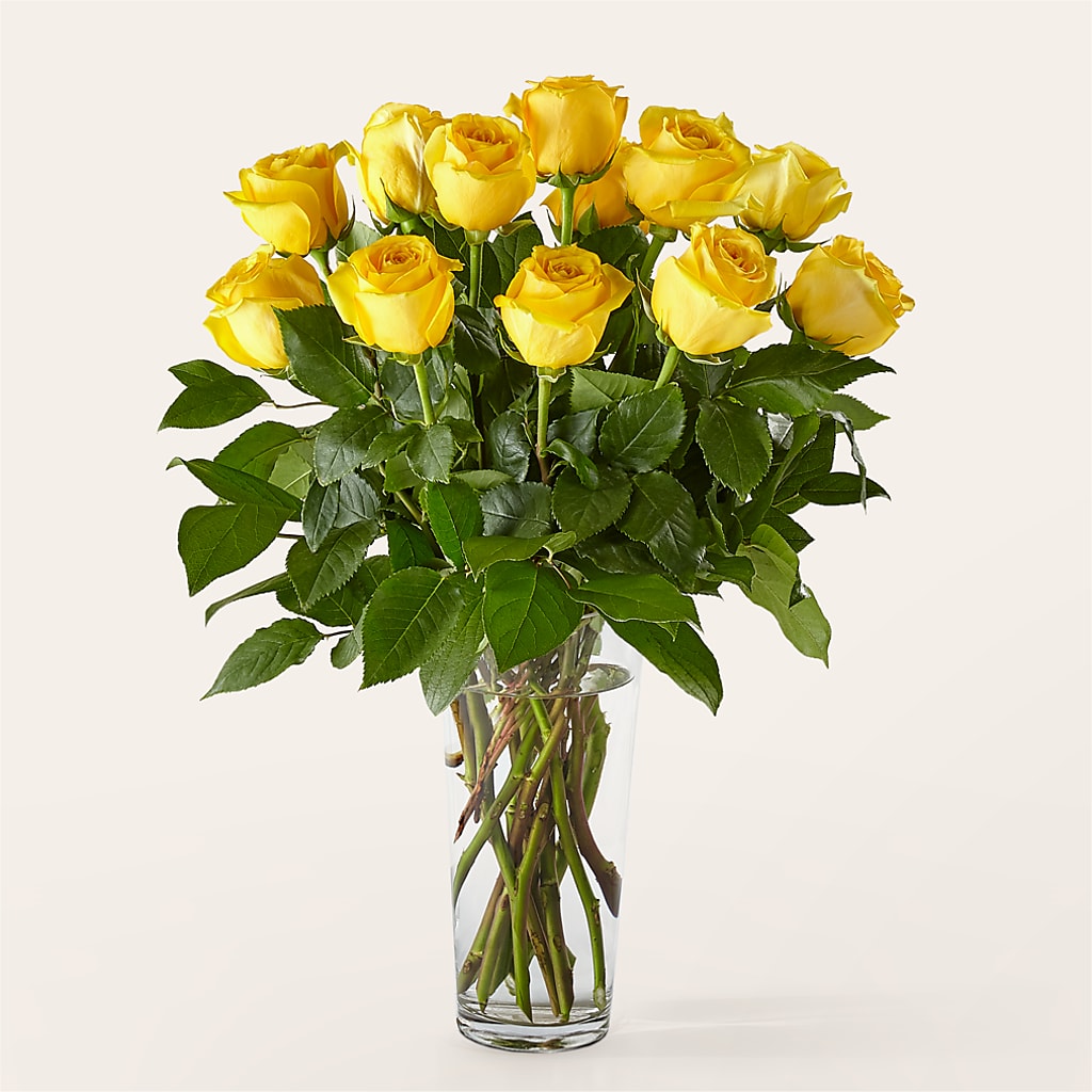 Long Stem Yellow Rose Bouquet – The Warrenton Florist, Warrenton VA