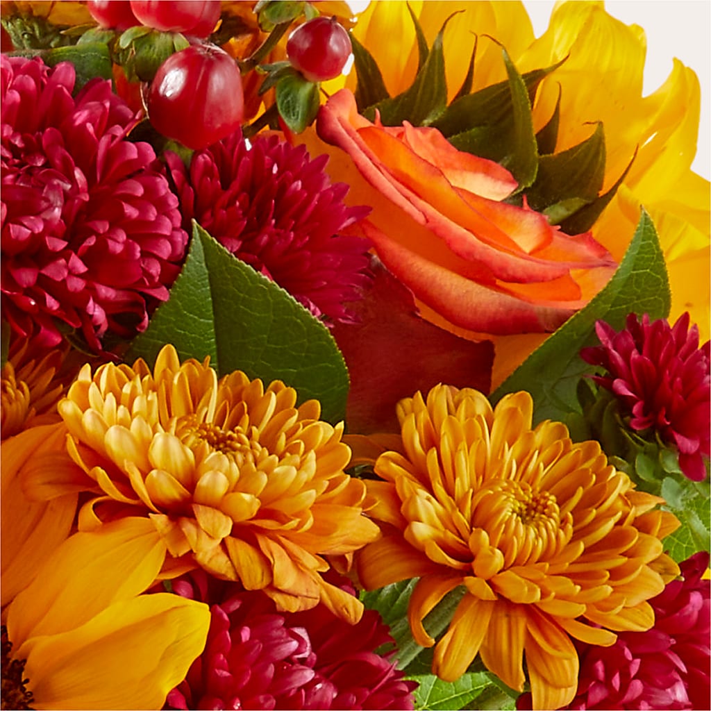 Sweater Season - A Florist Original – The Warrenton Florist, Warrenton VA