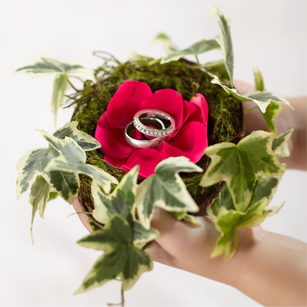 Lila Rose Ring Nest – The Warrenton Florist, Warrenton VA