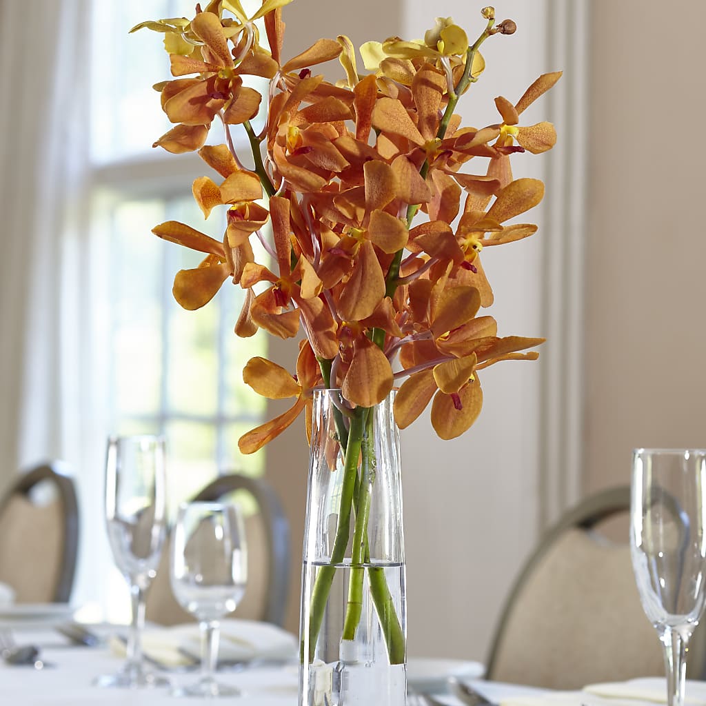 Orange Mokara Bud Vase – The Warrenton Florist, Warrenton VA