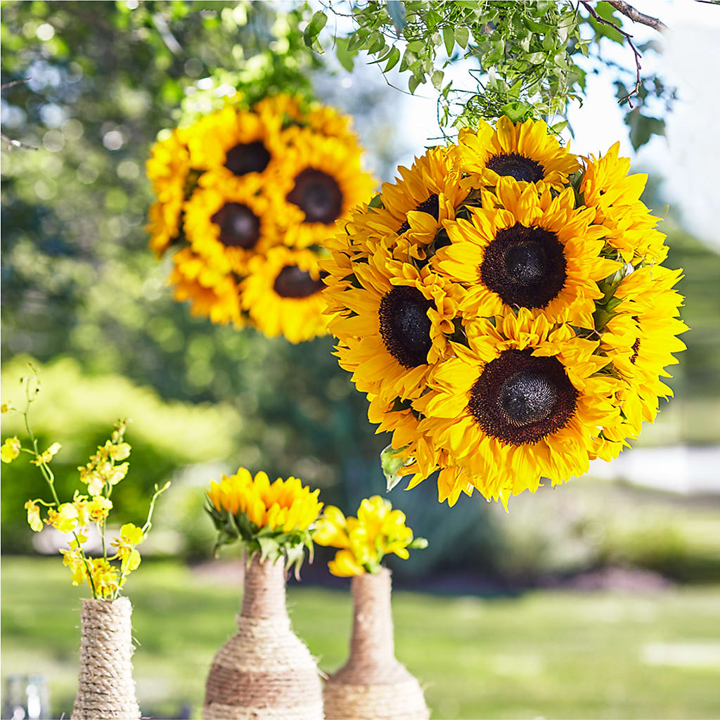 Sublime Garden Hanging Arrangement – The Warrenton Florist, Warrenton VA