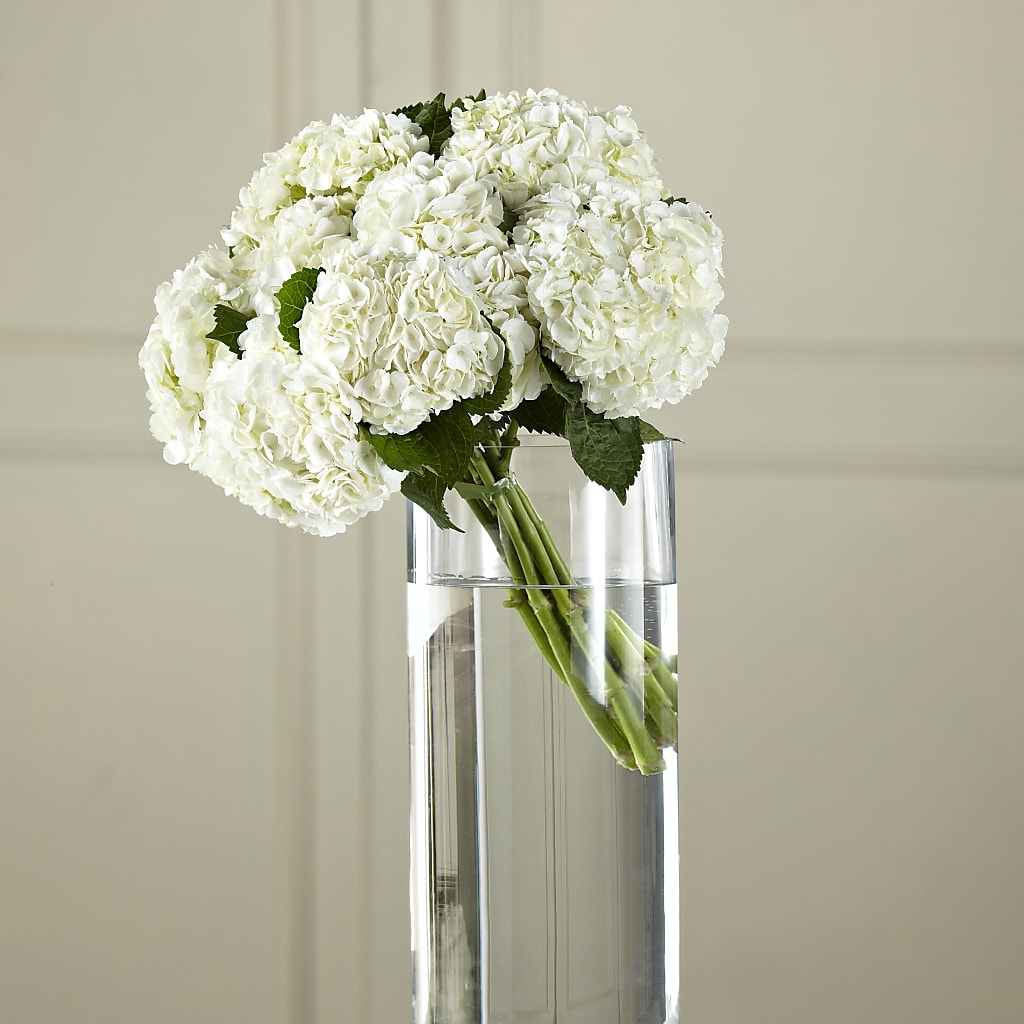 White Hydrangea Hand-Tied Bouquet – The Warrenton Florist, Warrenton VA