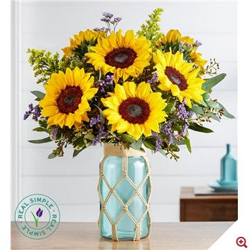 Sunshine & Happiness™