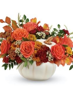 harvest pumpkin –  The Warrenton Florist, Warrenton VA