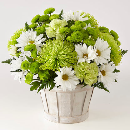 Lucky Charm Basket (Standard) –  The Warrenton Florist, Warrenton VA