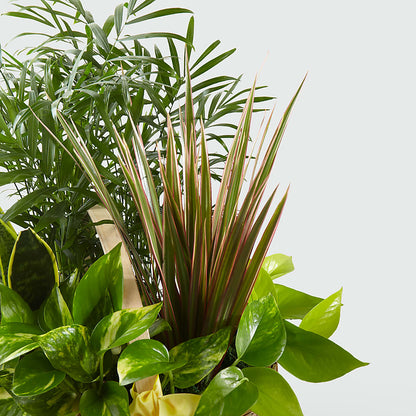 French Garden –  The Warrenton Florist, Warrenton VA