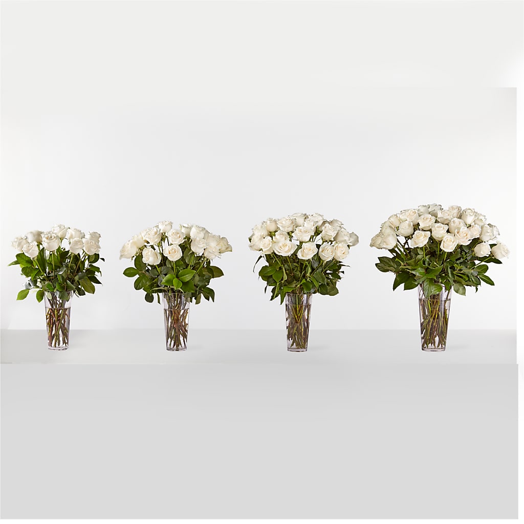 Long Stem White Rose Bouquet –  The Warrenton Florist, Warrenton VA