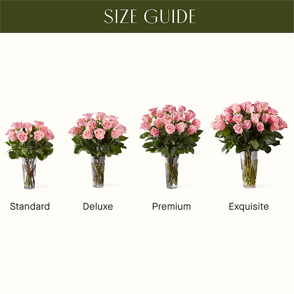Long Stem Pink Rose Bouquet –  The Warrenton Florist, Warrenton VA