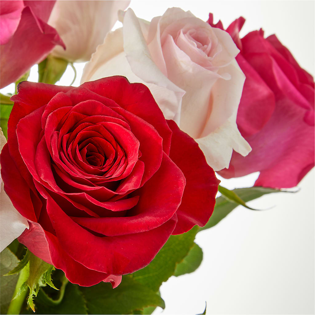 Charming Rose Bouquet –  The Warrenton Florist, Warrenton VA