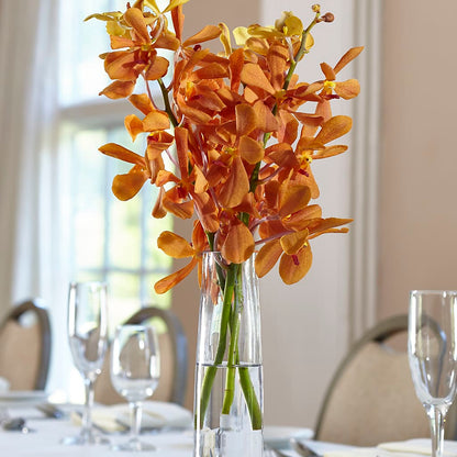 Orange Mokara Bud Vase –  The Warrenton Florist, Warrenton VA