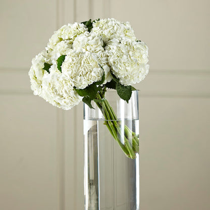 White Hydrangea Hand-Tied Bouquet –  The Warrenton Florist, Warrenton VA